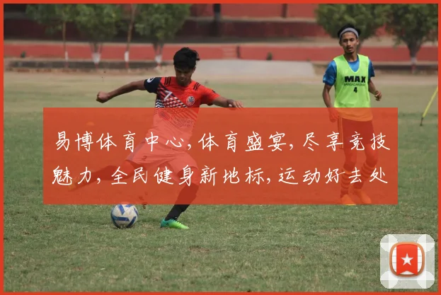 易博体育中心,体育盛宴,尽享竞技魅力,全民健身新地标,运动好去处,一网打尽